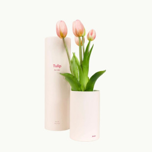 MAZZO DI TULIPANI - PINK