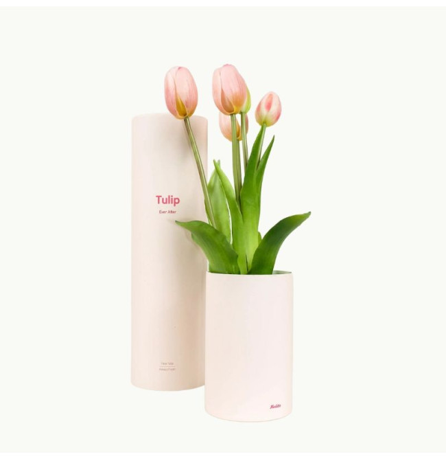 MAZZO DI TULIPANI - PINK