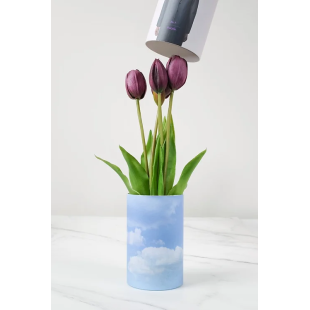 MAZZO DI TULIPANI - MAGRITTE EDITION