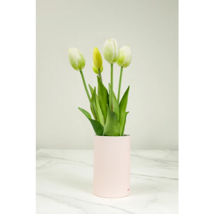 MAZZO DI TULIPANI - WHITE