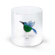 BICCHIERE DECORO COLIBRI&#039;