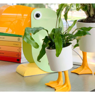 VASO DUCK FEET PICCOLO
