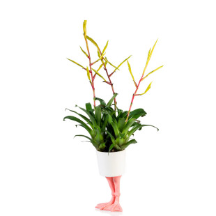 VASO FLAMINGO FEET PICCOLO
