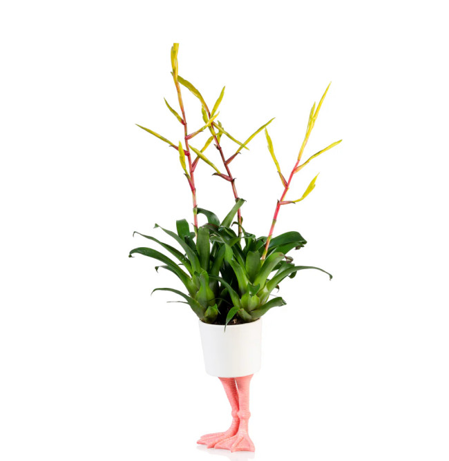 VASO FLAMINGO FEET PICCOLO