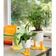 VASO DUCK FEET GRANDE