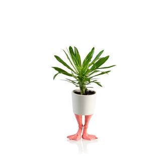 VASO FLAMINGO FEET GRANDE