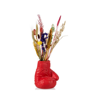 VASO GUANTONI DA BOX ROSSO