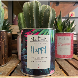 CACTUS MËN "HAPPY"