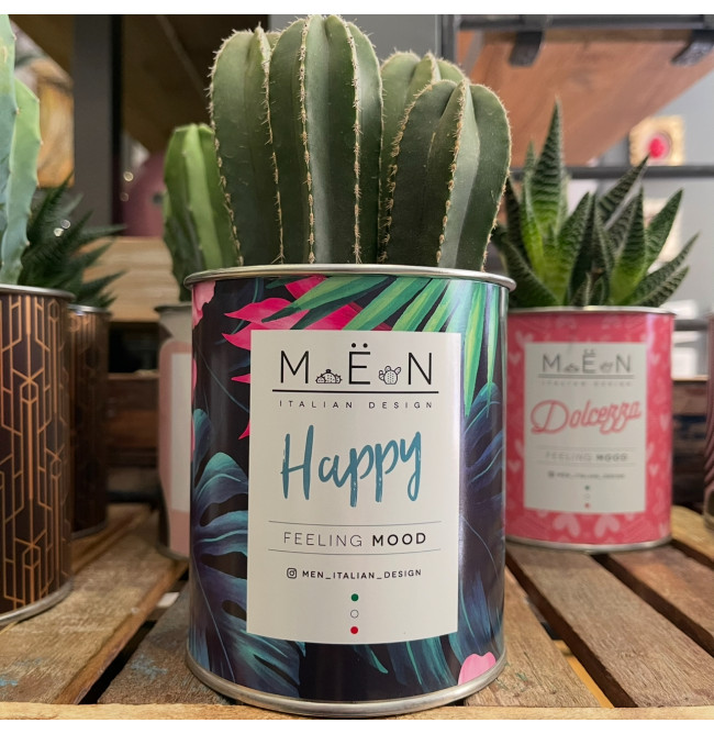 CACTUS MËN "HAPPY"