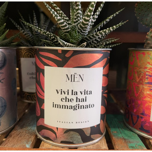 CACTUS MËN "VIVI LA VITA CHE HAI IMMAGINATO"