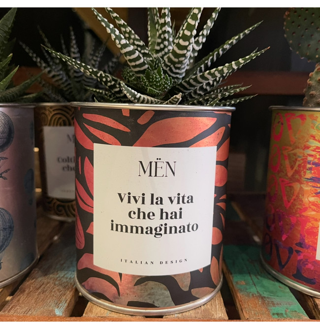 CACTUS MËN "VIVI LA VITA CHE HAI IMMAGINATO"