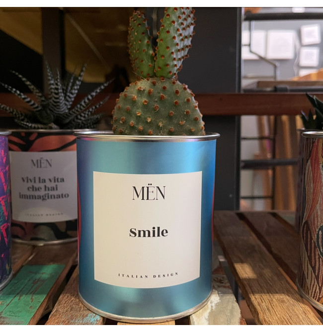 CACTUS MËN "SMILE"