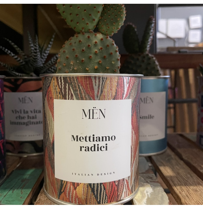 CACTUS MËN "METTIAMO RADICI"