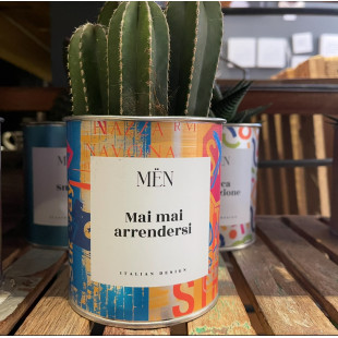 CACTUS MËN "MAI MAI ARRENDERSI"