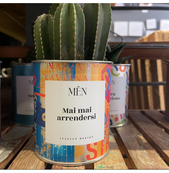 CACTUS MËN "MAI MAI ARRENDERSI"