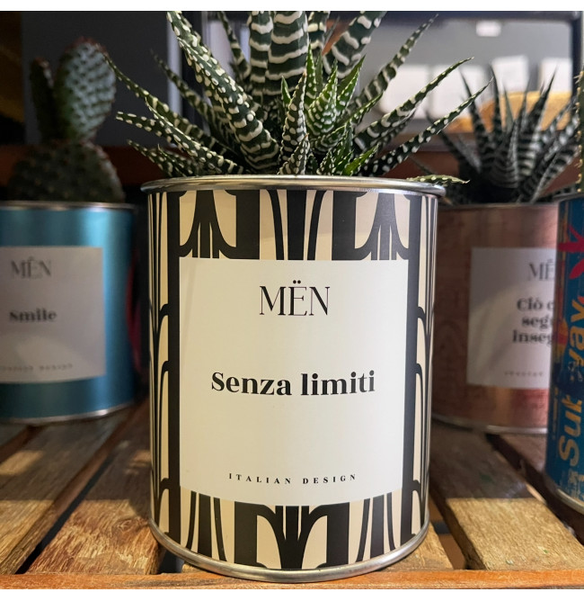 CACTUS MËN "SENZA LIMITI"