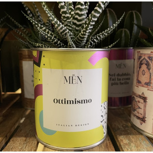 CACTUS MËN "OTTIMISMO"