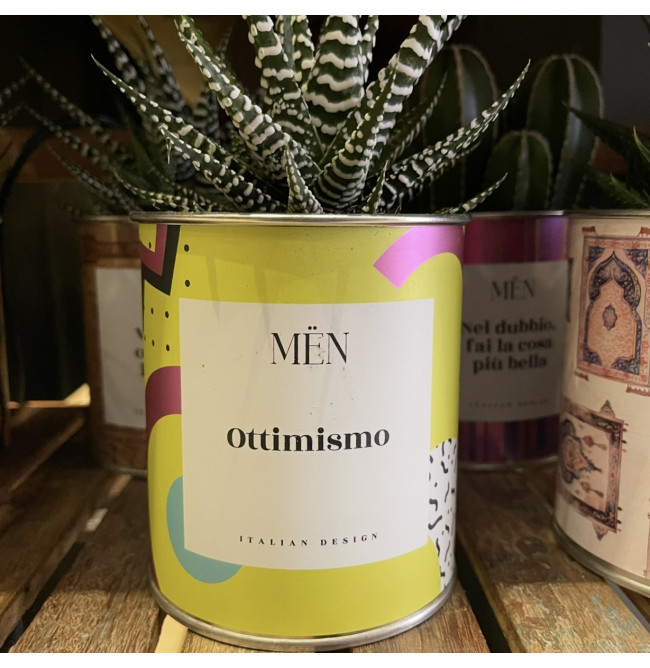 CACTUS MËN "OTTIMISMO"