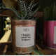 CACTUS MËN &quot;VIAGGIA, OSSERVA, IMPARA&quot;