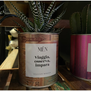 CACTUS MËN "VIAGGIA, OSSERVA, IMPARA"