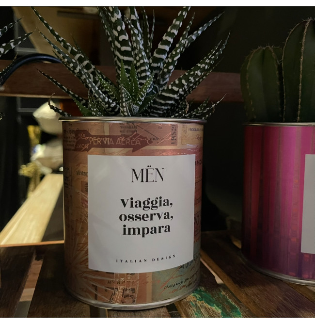CACTUS MËN "VIAGGIA, OSSERVA, IMPARA"