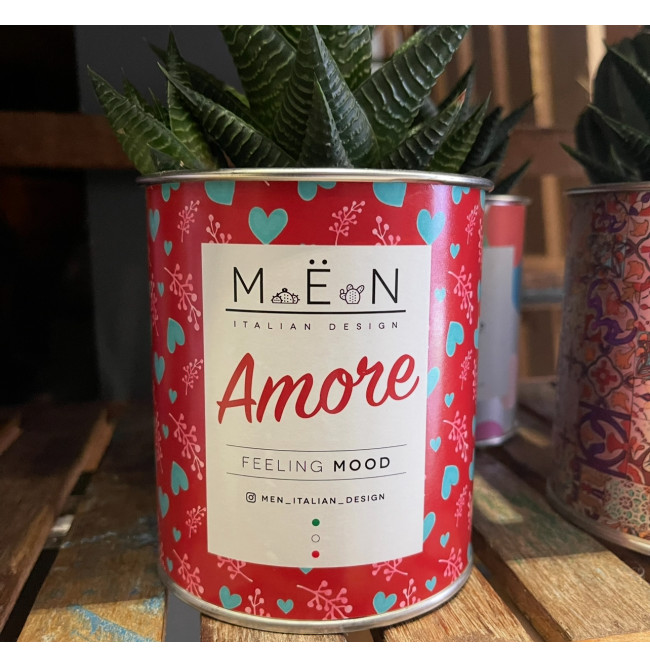 CACTUS MËN "AMORE"