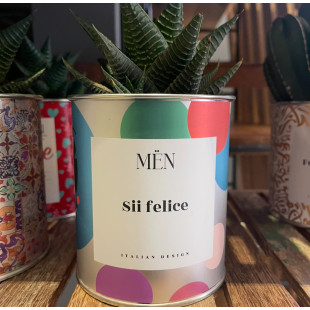 CACTUS MËN "SII FELICE"
