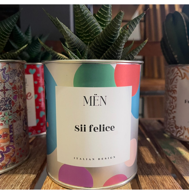CACTUS MËN "SII FELICE"
