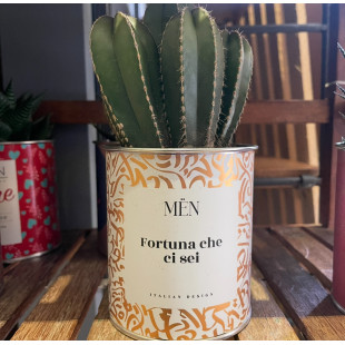 CACTUS MËN "FORTUNA CHE CI SEI"