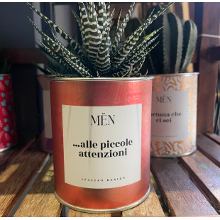 CACTUS MËN ".. ALLE PICCOLE ATTENZIONI"