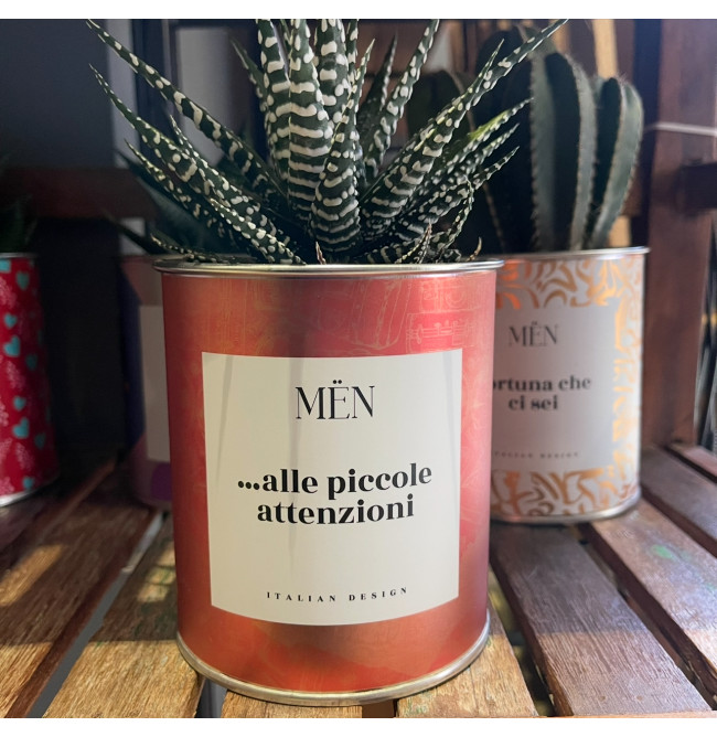 CACTUS MËN ".. ALLE PICCOLE ATTENZIONI"