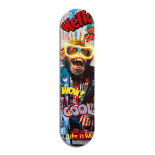 SKATE LED SCIMMIA
