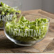 INSALATIERA &quot;INSALATINA&quot;