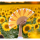 VENTAGLIO &quot;GIRASOLE&quot;