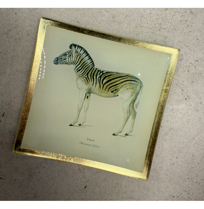 PIATTINO QUADRATO ZEBRA