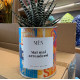 CACTUS MËN &quot;MAI MAI ARRENDERSI&quot;