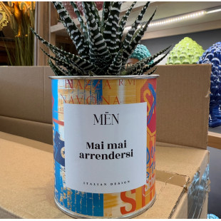 CACTUS MËN "MAI MAI ARRENDERSI"