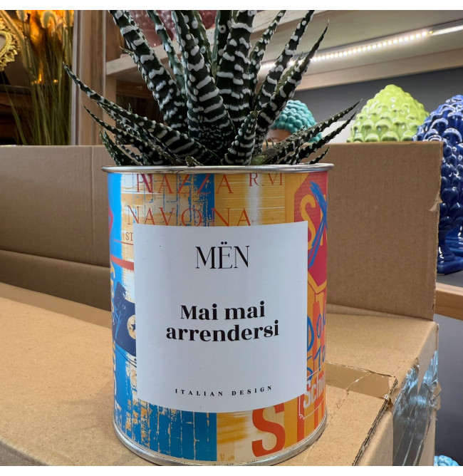 CACTUS MËN "MAI MAI ARRENDERSI"