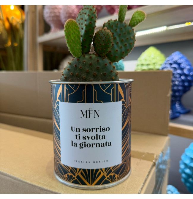 CACTUS MËN "UN SORRISO TI SVOLTA LA GIORNATA"