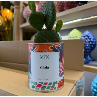 CACTUS MËN "GIOIA"