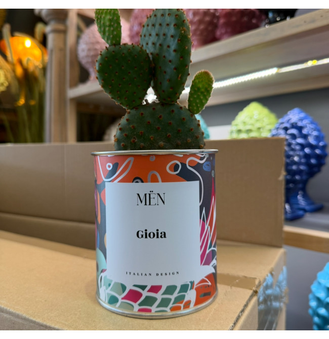 CACTUS MËN "GIOIA"