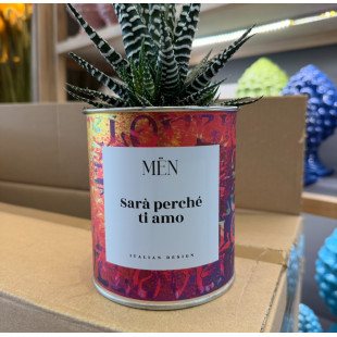 CACTUS MËN "SARA' PERCHE' TI AMO"