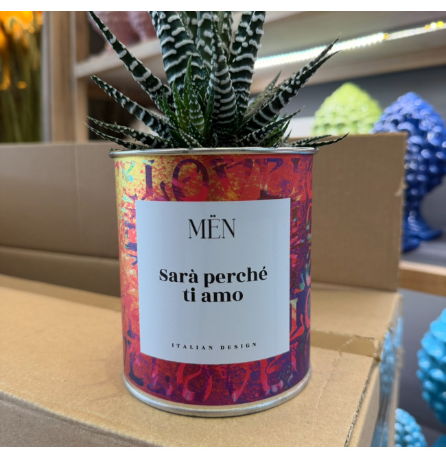 CACTUS MËN "SARA' PERCHE' TI AMO"