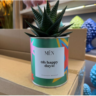 CACTUS MËN "OH HAPPY DAYS!"