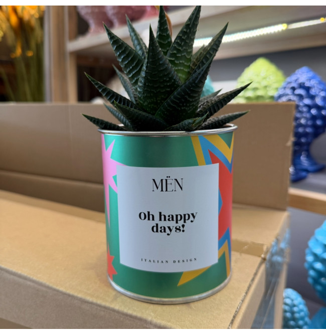 CACTUS MËN "OH HAPPY DAYS!"