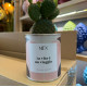 CACTUS MËN &quot;LA VITA E&#039; CORAGGIO&quot;