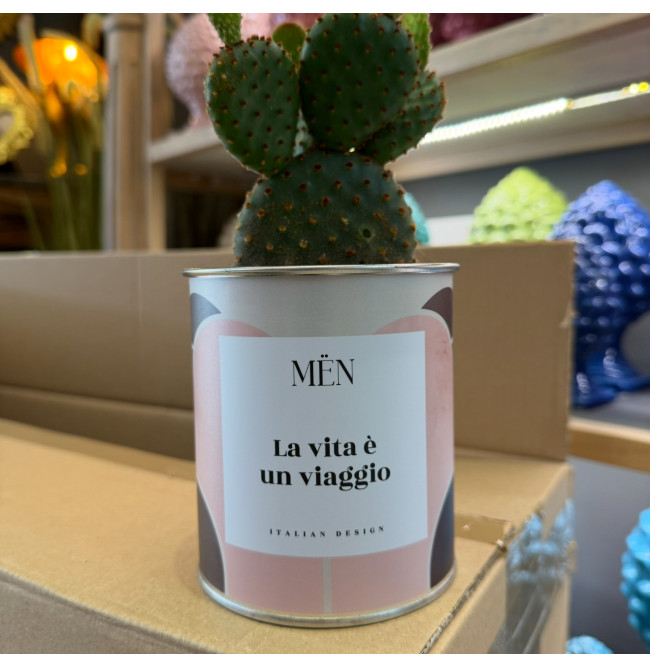 CACTUS MËN "LA VITA E' CORAGGIO"