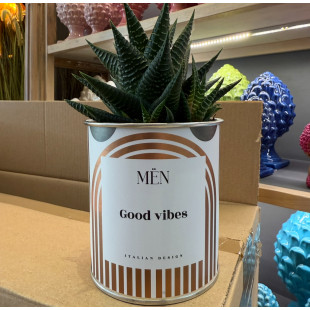 CACTUS MËN "GOOD VIBES"