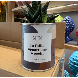 CACTUS MËN "LA FOLLIA APPARTIENE A POCHI"