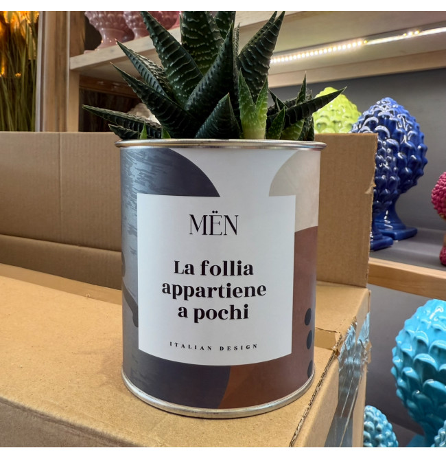 CACTUS MËN "LA FOLLIA APPARTIENE A POCHI"